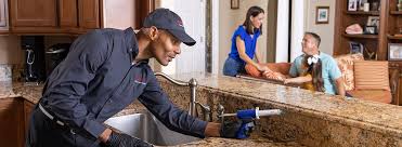 Best Residential Pest Control  in Penns Grove, NJ